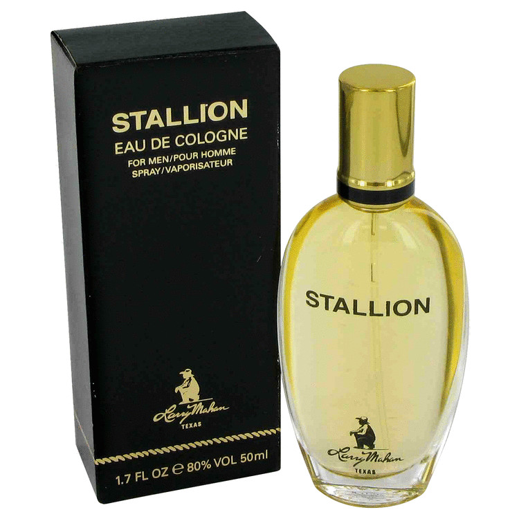 Stallion Cologne